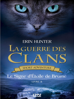 cover image of Le Signe d'Etoile de Brume